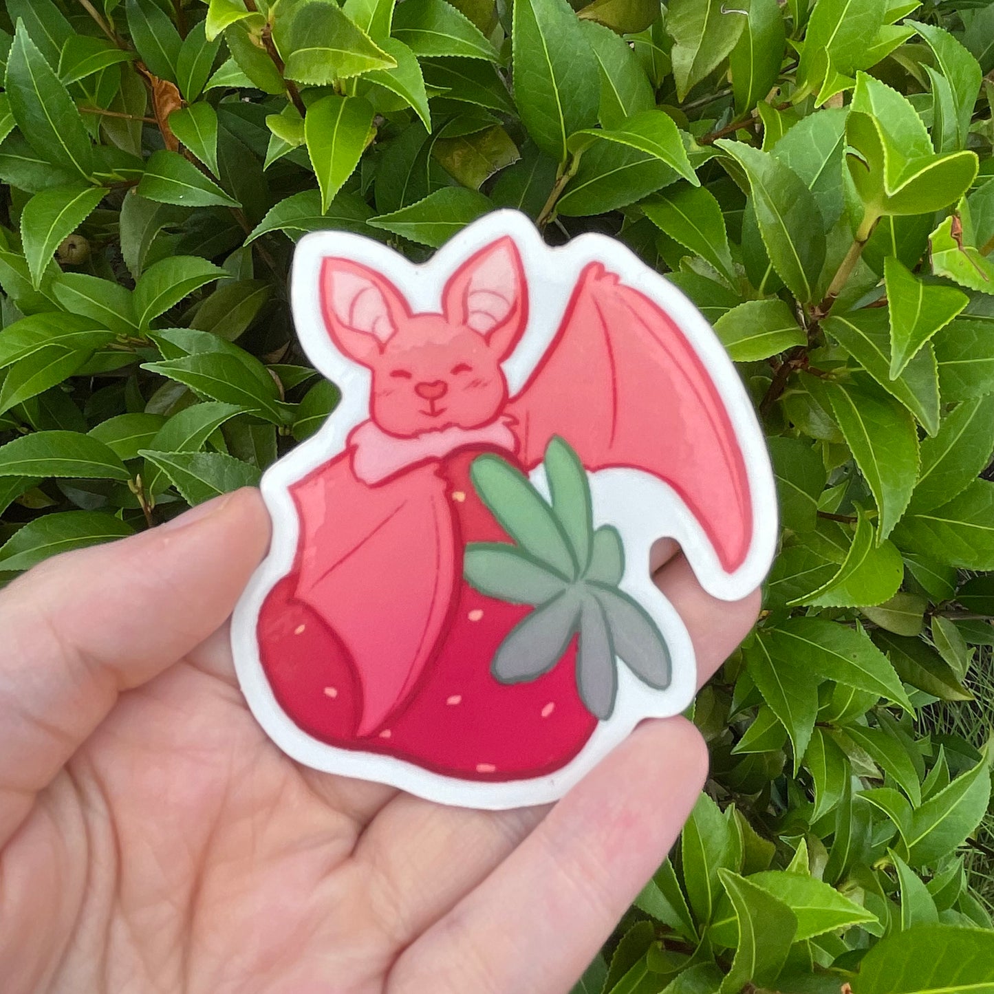 Fruit Bat Stickers